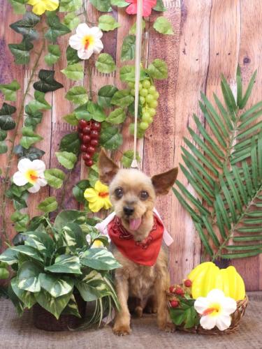 20230817小太郎くん